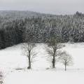 La Lamandie sous la neige