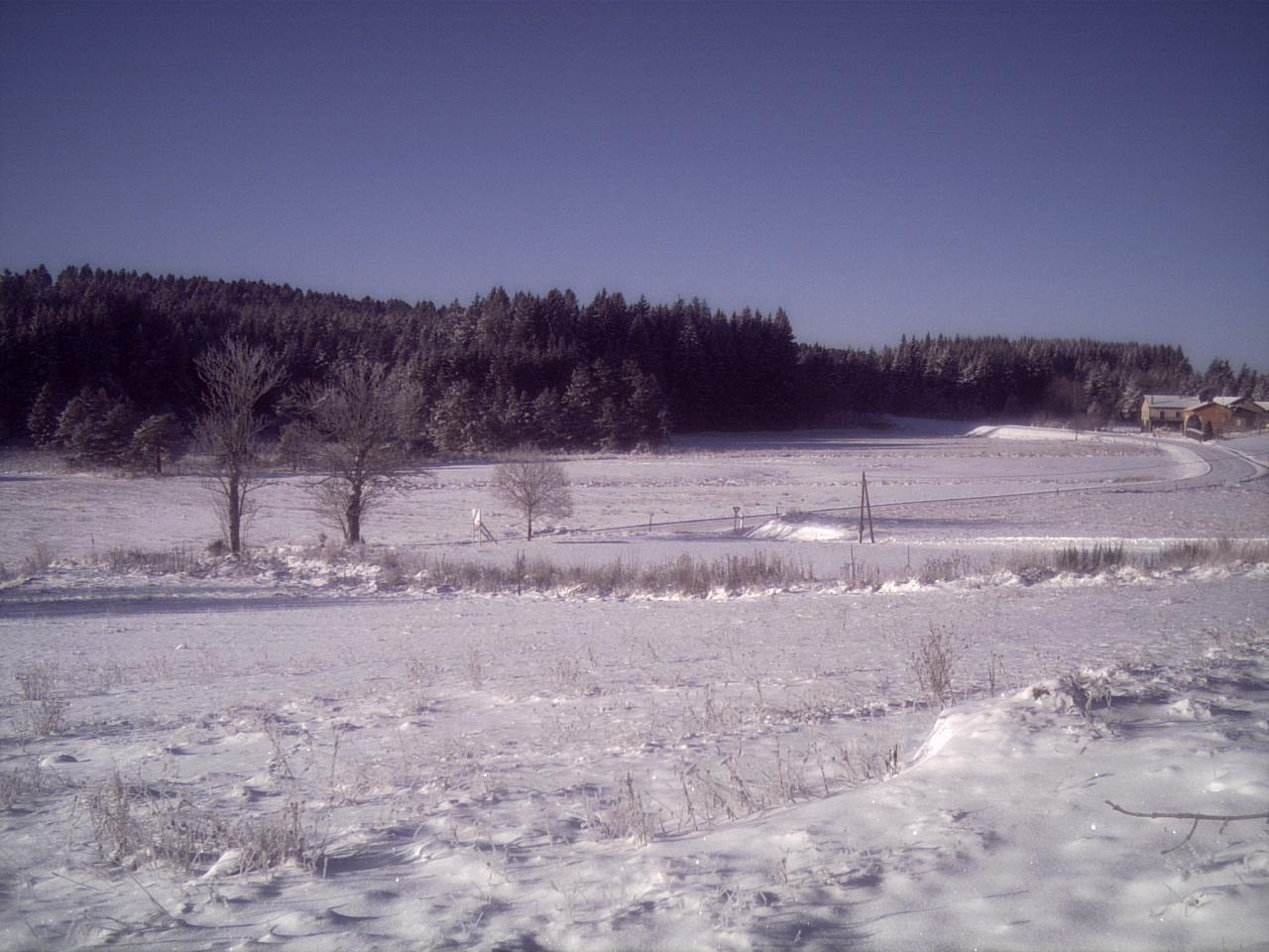 la lamandie sous la neige