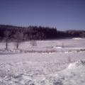 la lamandie sous la neige